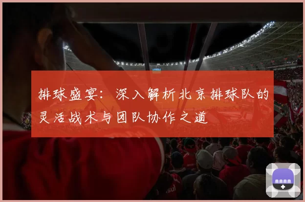 排球盛宴：深入解析北京排球队的灵活战术与团队协作之道