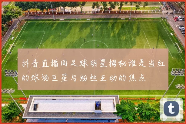 抖音直播间足球明星揭秘谁是当红的球场巨星与粉丝互动的焦点